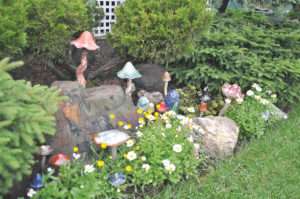 A lovely toadstool collection makes you wonder if fairies live here.