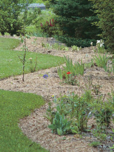 Wood chips make maintenance of this long bed much easier. 