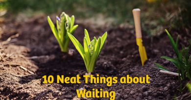 10 neat things about waiting