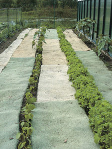 Recycled jute-backed carpet works as an effective weed barrier.