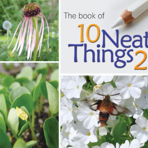 Book of 10 Neat Things 2