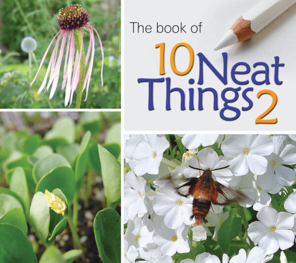 Book of 10 Neat Things 2