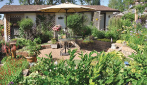 The backyard is an oasis surrounded by greenery and beauty.