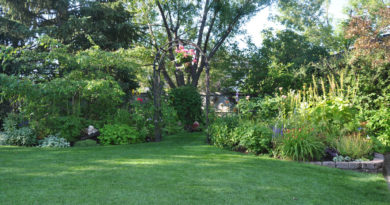 The Schlosser Garden of Calgary: Brimming with life and love
