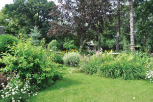 The front yard is a showcase for perennials and pathways.