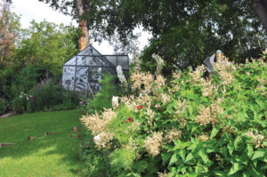 Masses of tall perennials are set off by the lush green lawn. Above are fleece flowers.