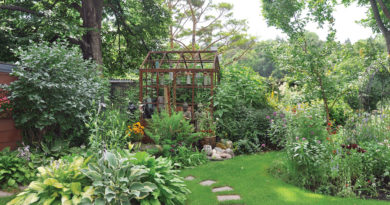 In the lush green beds of the backyard, the Victory Orangery greenhouse is barely visible.