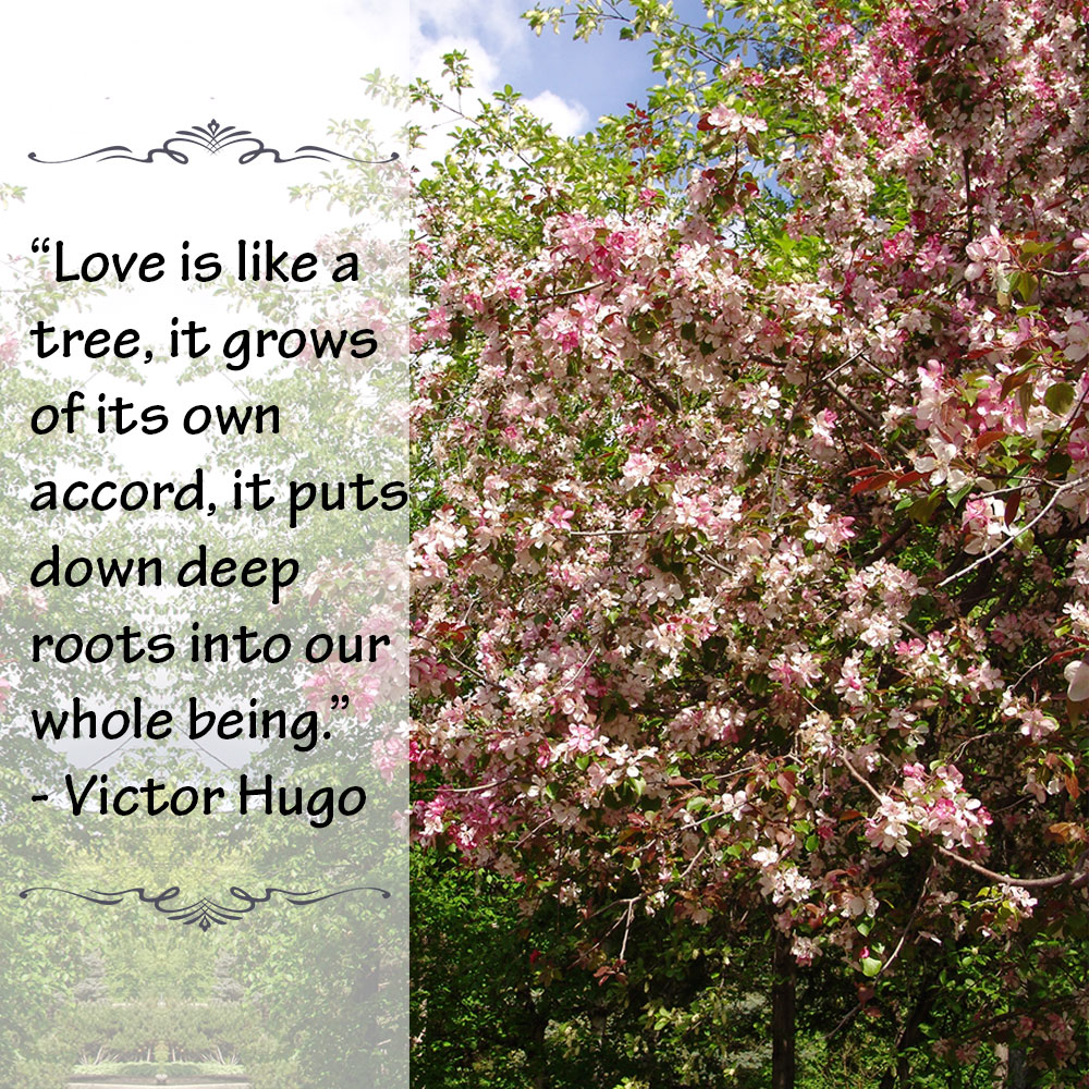 Love is like a tree, it grows of its own accord, it puts down deep roots into our whole being. ~Victor Hugo