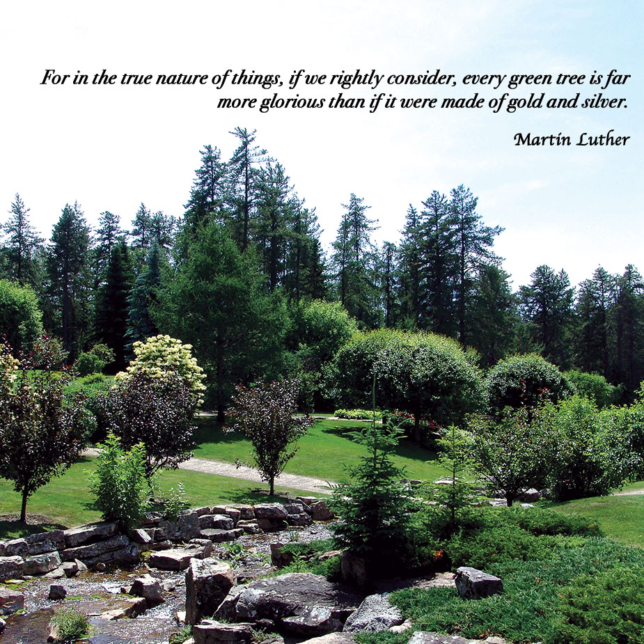 For in the true nature of things, if we rightly consider, every green tree is far more glorious that if it were made of gold and silver. ~Martin Luther
