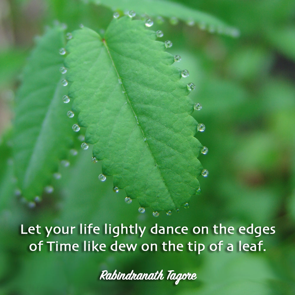 Let your life lightly dance on the edges of time like dew on the tip of a leaf. ~Rabindranath Tagore