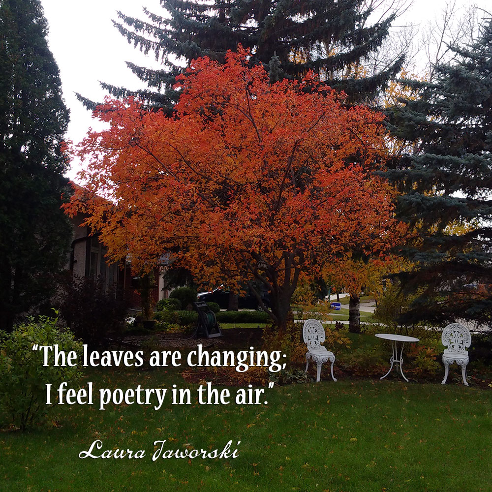 The leaves are changing; I feel poetry in the air. ~ Laura Jaworski