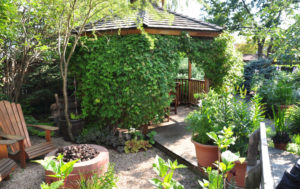 Just off the main deck, the clematis-covered gazebo is where Debbie and George eat most of their summer meals.