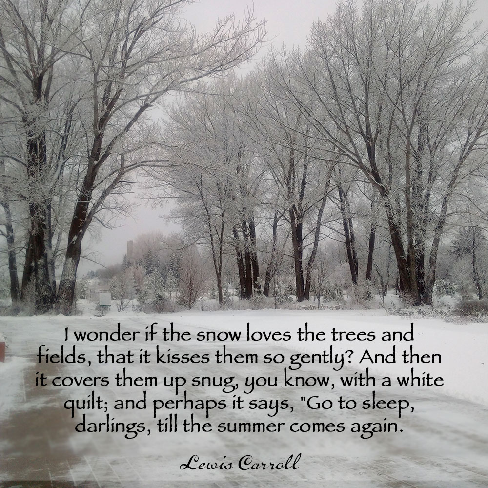 I wonder if the snow loves the trees and fields, that it kisses them so gently? And then it covers them up snug, you know, with a white quilt; and perhaps it says, "Go to sleep, darlings, till the summer comes again." ~ Lewis Carroll