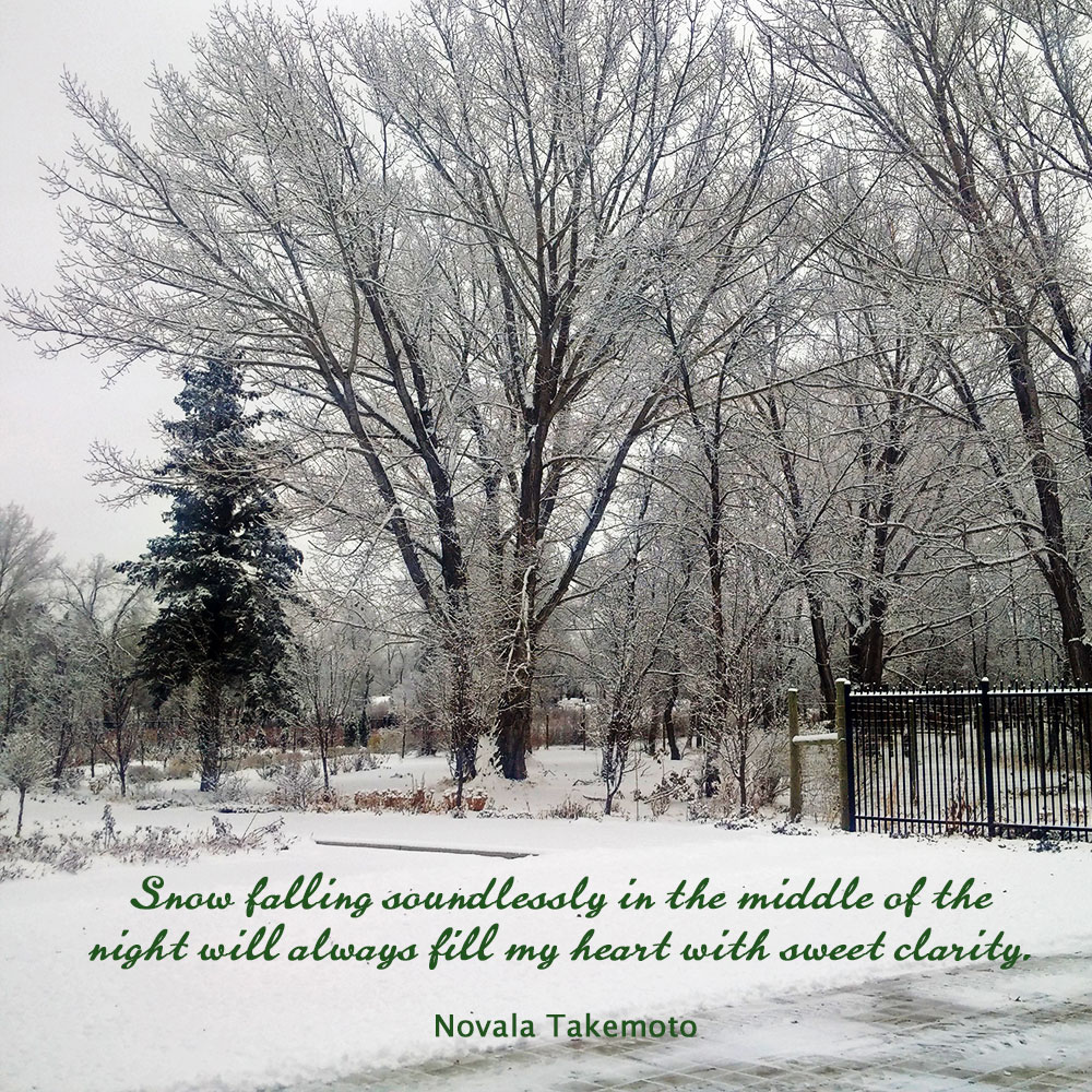 Snow falling soundlessly in the middle of the night will always fill my heart with sweet clarity. ~ Novala Takemoto