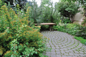 Another quiet corner of the yard.