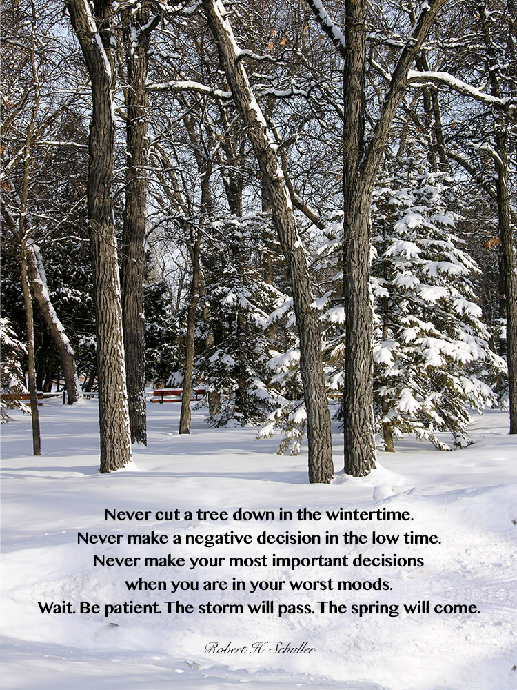 Never cut a tree down in the wintertime. Never make a negative decision in the low time. Never make your most important decisions when you are in your worst moods. Wait. Be patient. The storm will pass. The spring will come. ~Robert Schuller