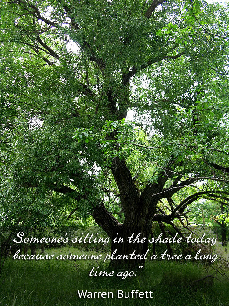 Someone's sitting in the shade today because someone planted a tree a long time ago. ~Warren Buffett