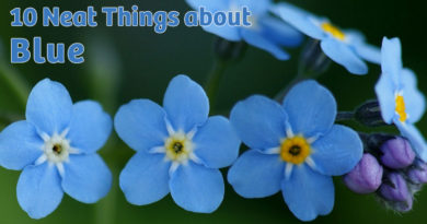10 neat things about blue