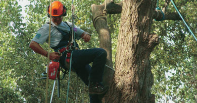 arborist