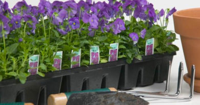 More tips for planting early