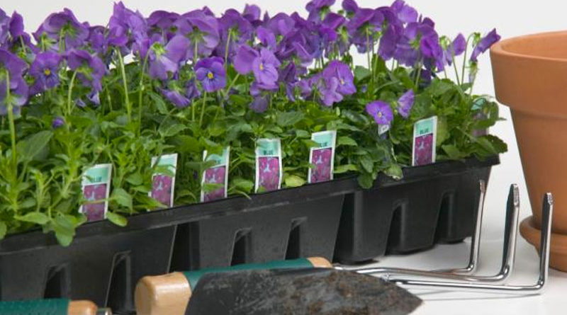 More tips for planting early