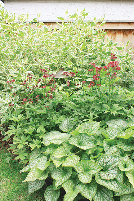 Although smaller in scale, the back gardens are just as expertly designed as the front.