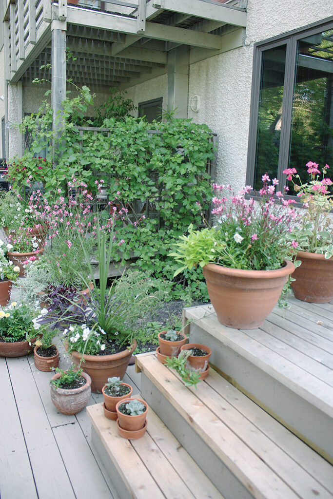 Container plantings fill the deck.