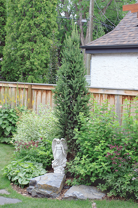 The garden is a perfect mix of contrasting textures.