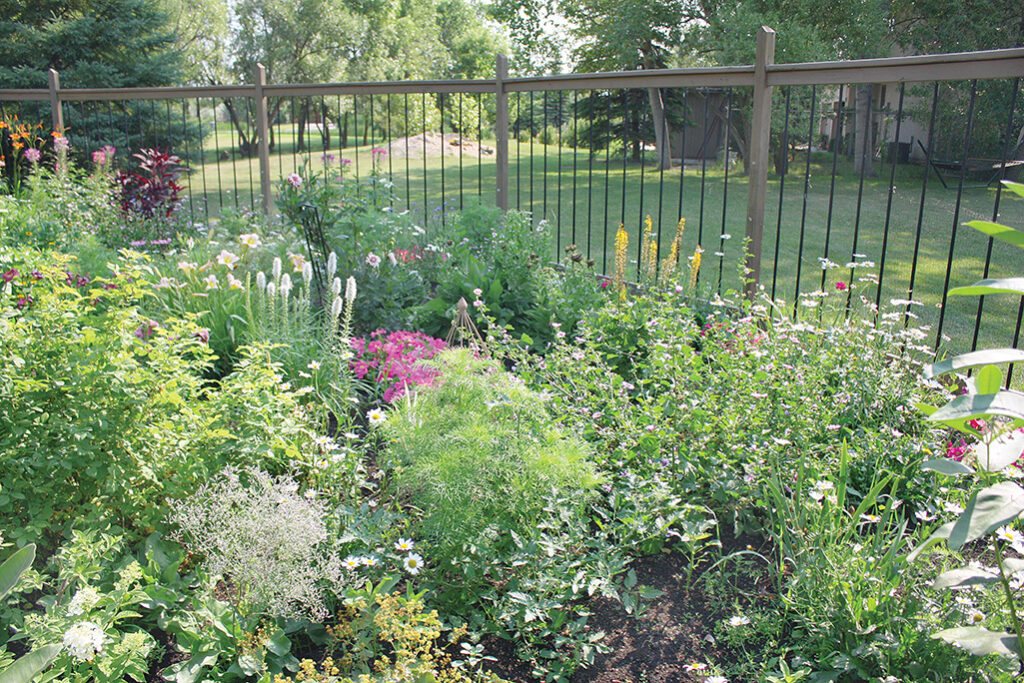garden beauty outside the city Safely protected from ravenous deer by ten-foot-tall fence