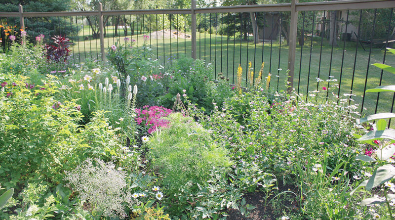 garden beauty outside the city Safely protected from ravenous deer by ten-foot-tall fence