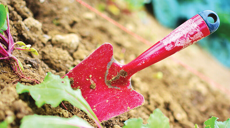 Why should I buy high-quality soil?