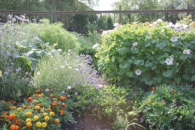 Jeanette loves experiments with flowers and enjoyed trying new varieties for her daughter's wedding.