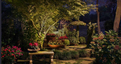 garden after dark
