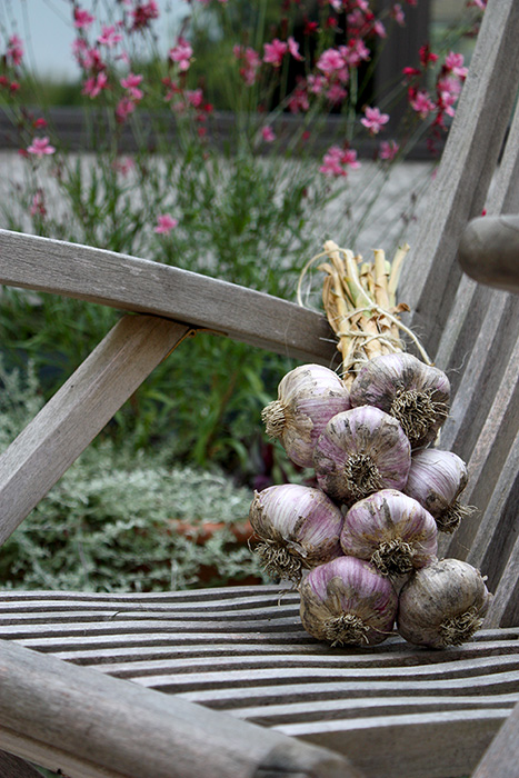 Jeanette and David grow hardneck garlic, chich makes forr perfect gifts.
