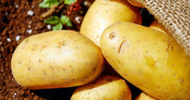 potatoes
