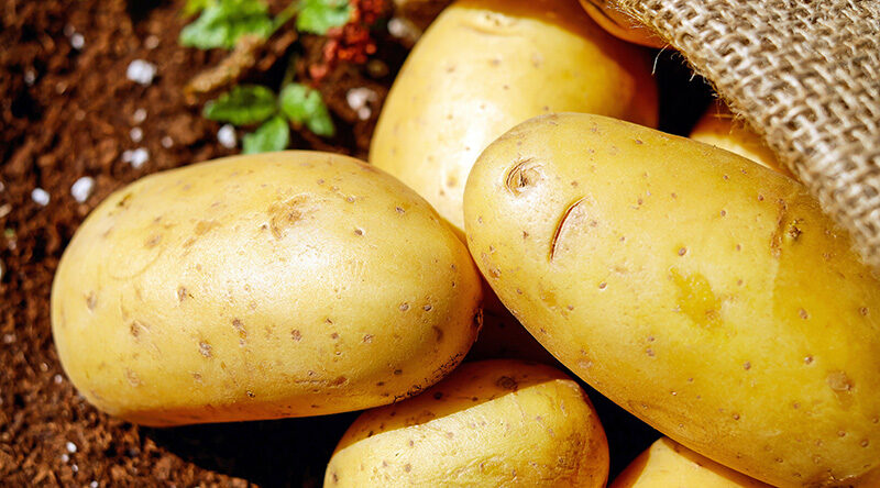 potatoes