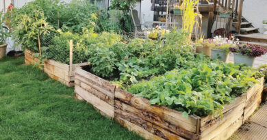 how to build a raised bed