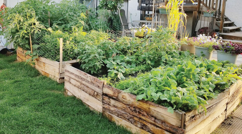 how to build a raised bed