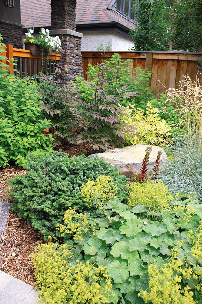 Wood mulch keeps rocks moist and weeds down.