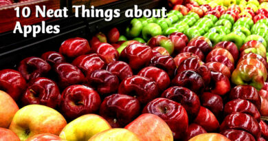 10 Neat Things about Apples