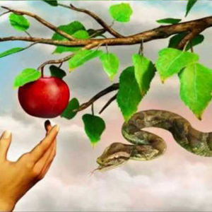 Adam and Eve's apple