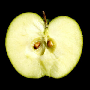 Apple cross section
