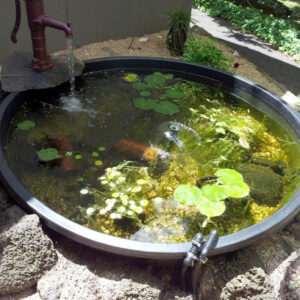 water gardening