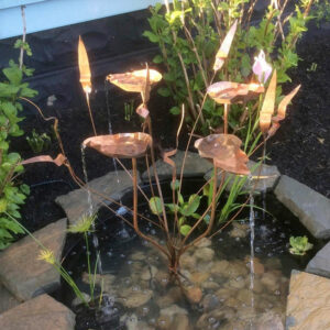 water gardening