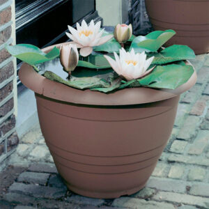 water gardening