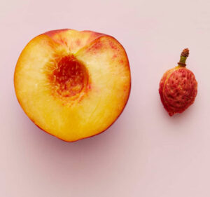 freestone peach
