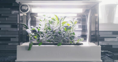 Nullam mini nuGarden