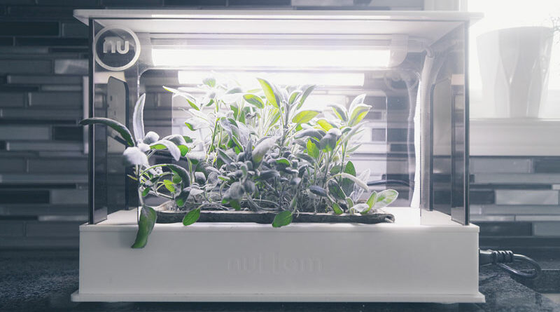 Nullam mini nuGarden