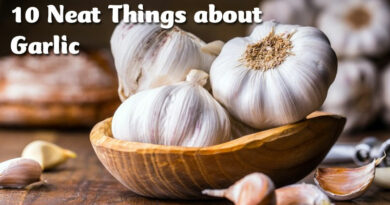10 Neat Things about Garlic