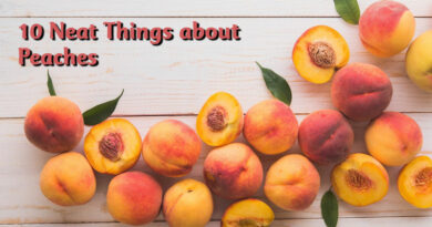 10 Neat Things about peaches